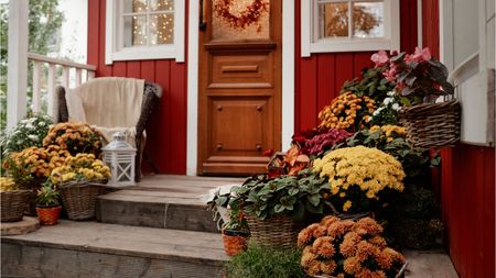 Fall porch with potted plants, including chrysanthemums