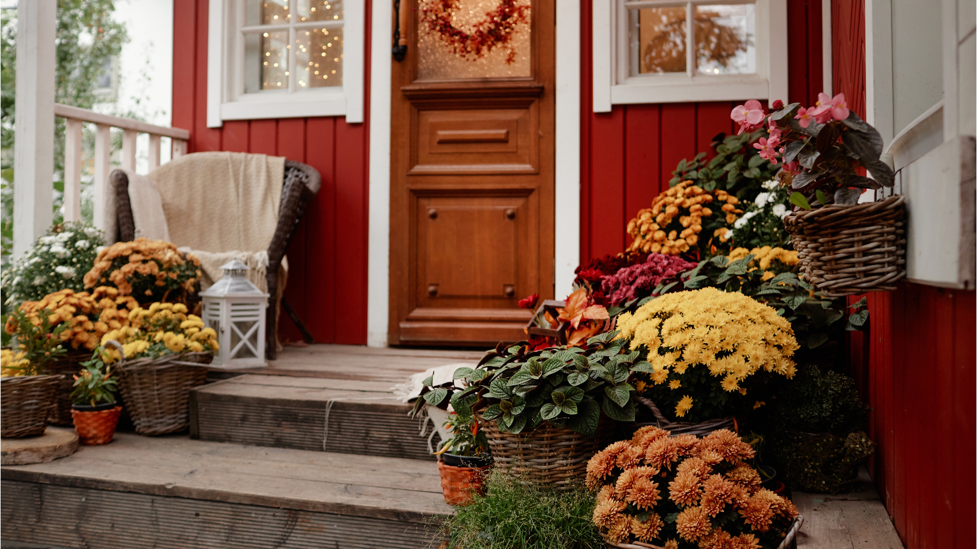 Fall porch with potted plants, including chrysanthemums