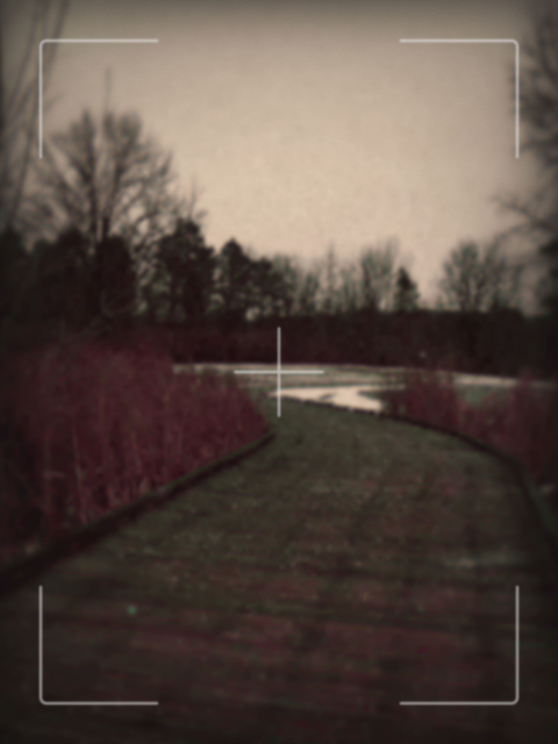 A photo taken with the Fujifilm Instax Mini Eco Cinema decade camera