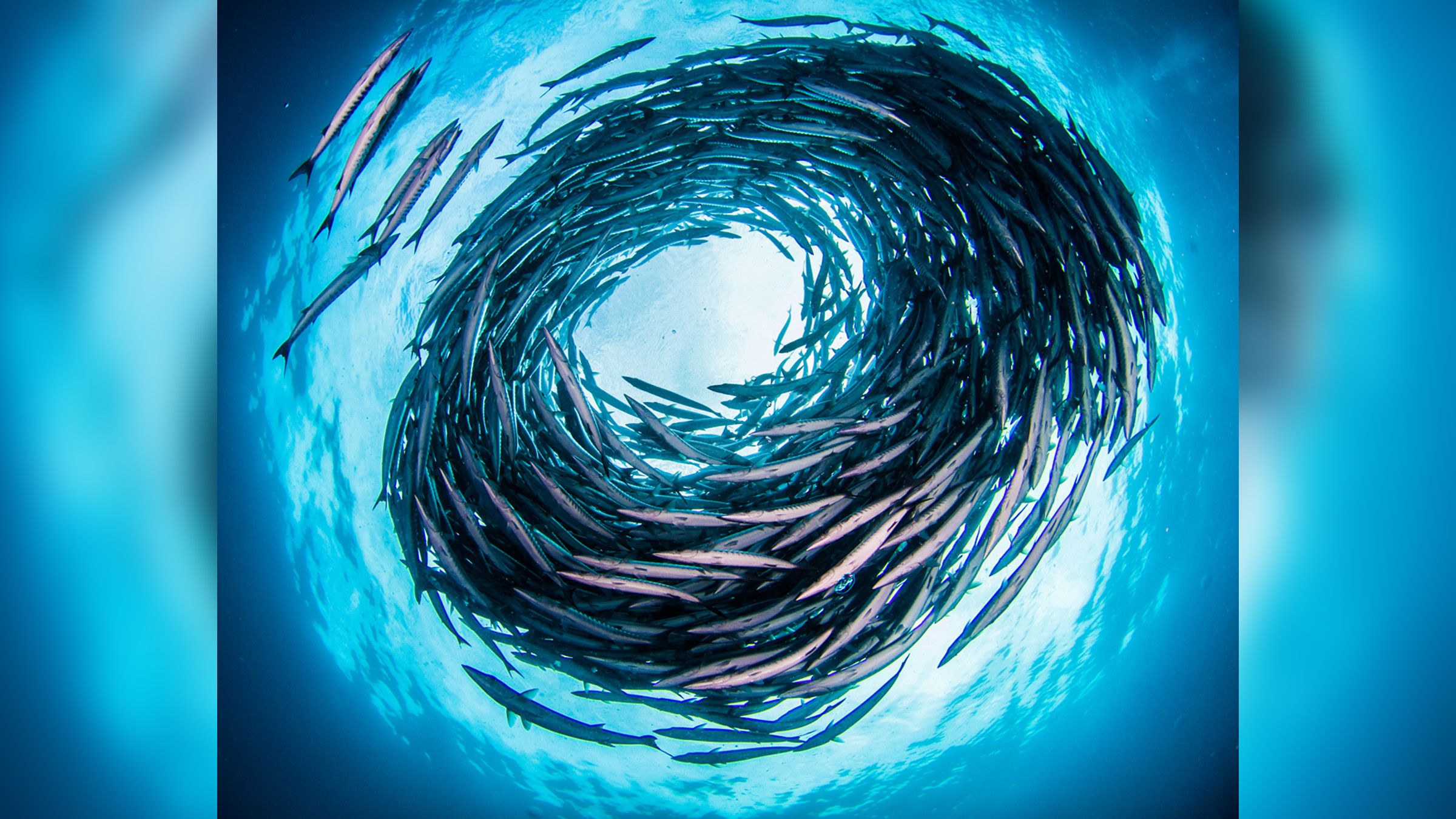 Meet the swirlon, a new kind of matter that bends the laws of physics