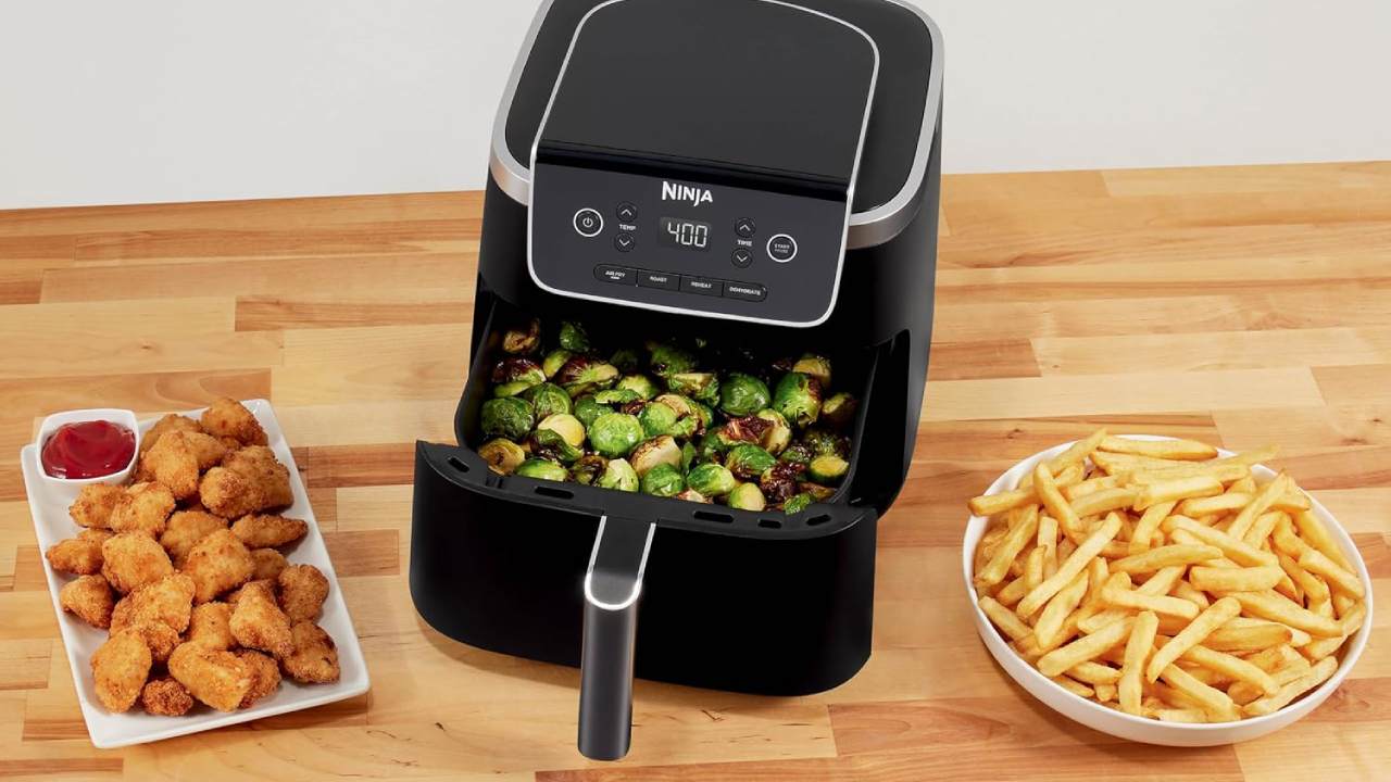 Ninja 4-in-1 Pro Air Fryer