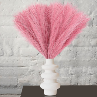 A bunch of pink pampas grass in a white vase