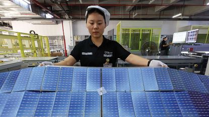 Employee checking solar panels