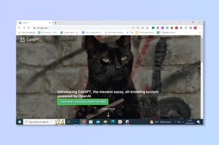 The CatGPT homepage
