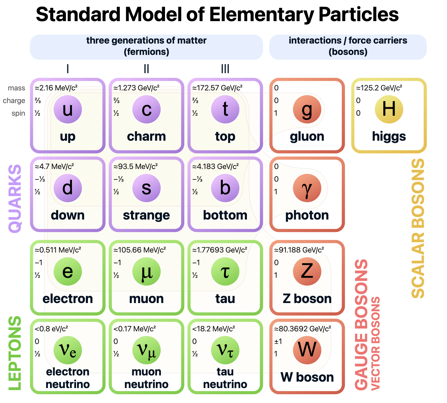 A diagram showing all of the different elementary particles