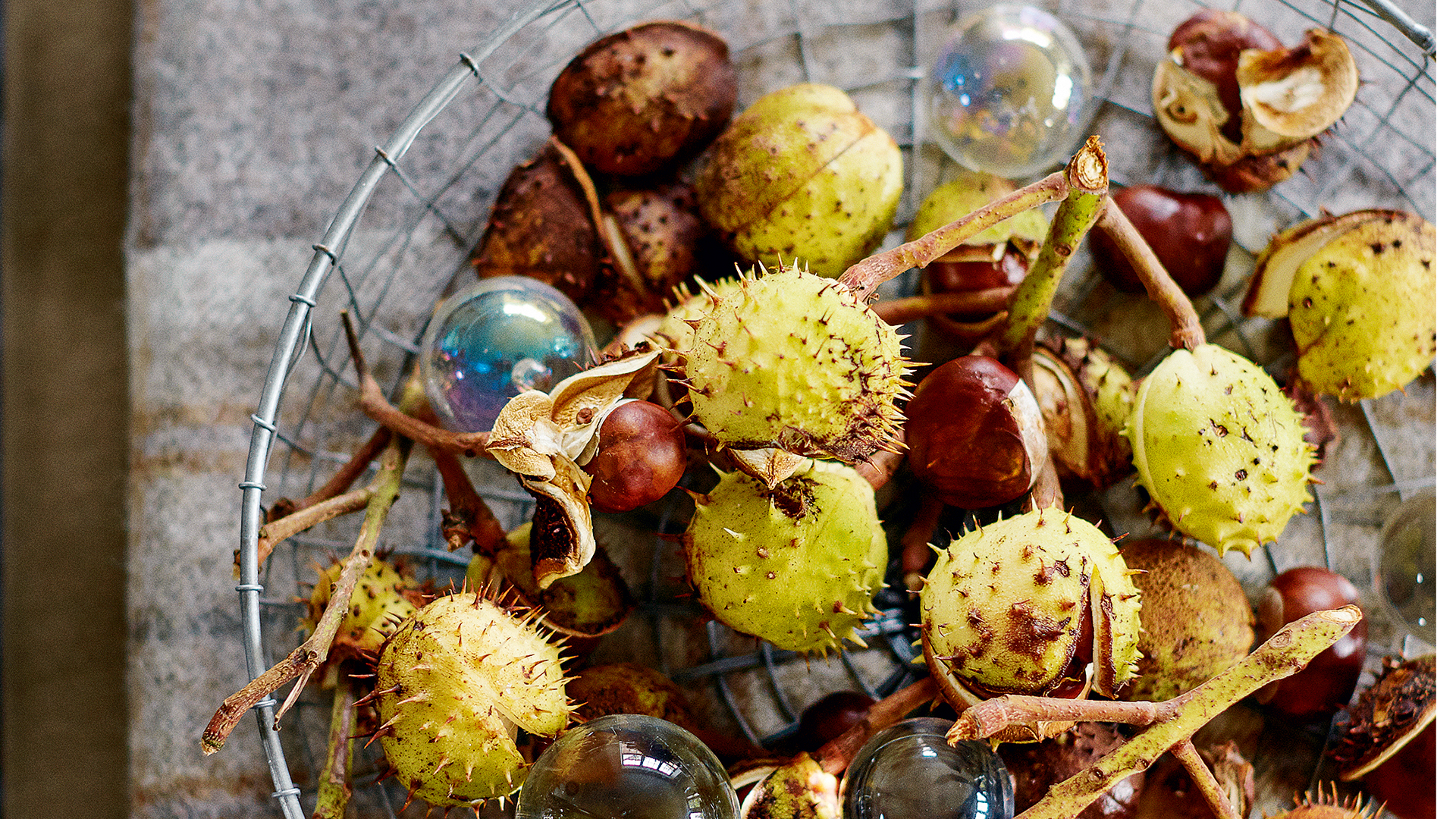 a wire basket of conkers