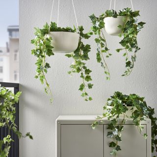 hanging planters vertical gardening on white balcony