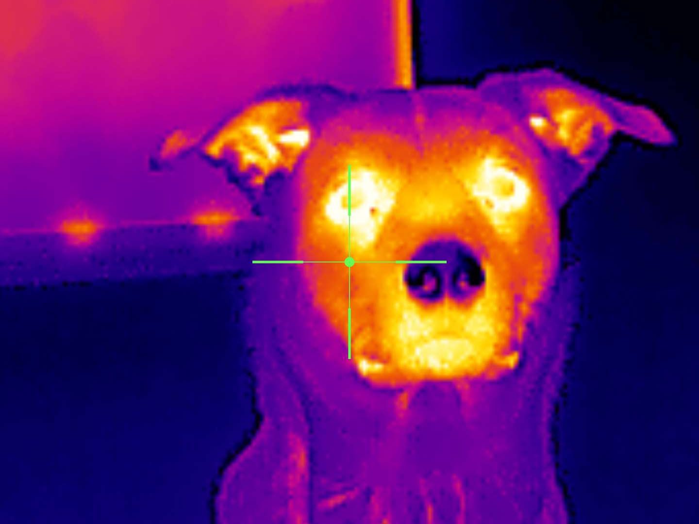 Xinfrared One XH09 captures