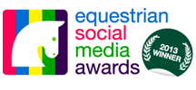 ESMA_2013_Winner.png