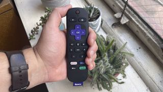 The roku voice remote pro in a hand, above a cactus