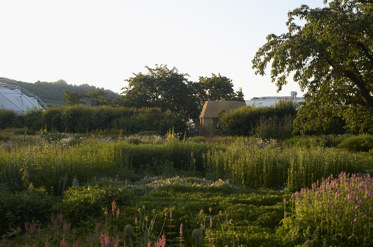 Tane Garden House at Vitra among gardens