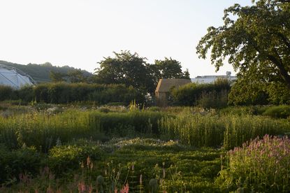 Tane Garden House at Vitra hero exterior