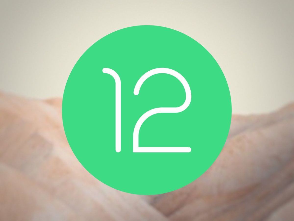 Android 12 Logo