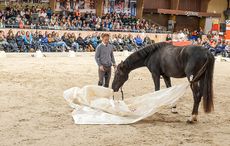 Tristan-at-Masterclass-2015.jpg