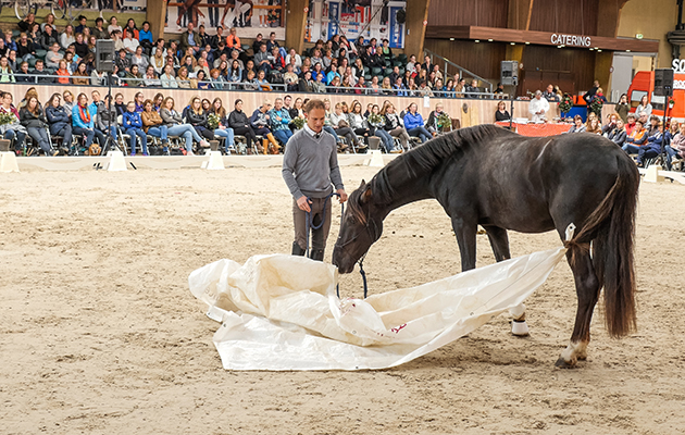 Tristan-at-Masterclass-2015.jpg