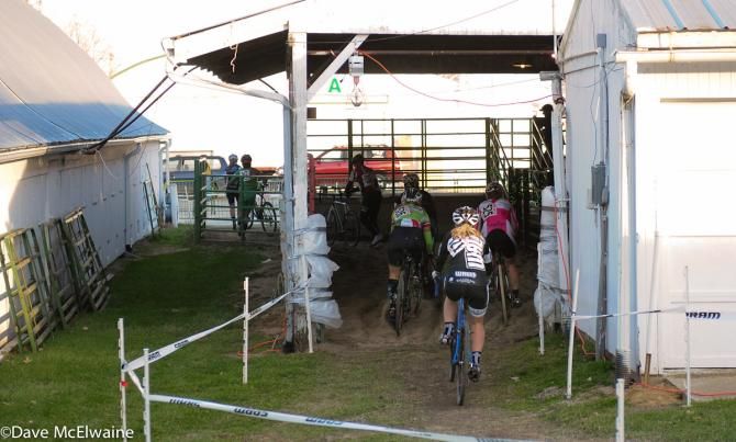 Women in one of the amateur races ride through cow barns