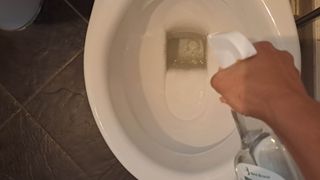 Spraying vinegar in toilet