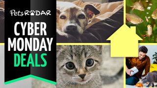 Pets at Home cyber monday deals