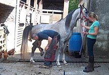 KrisParsonsfarrier.jpg