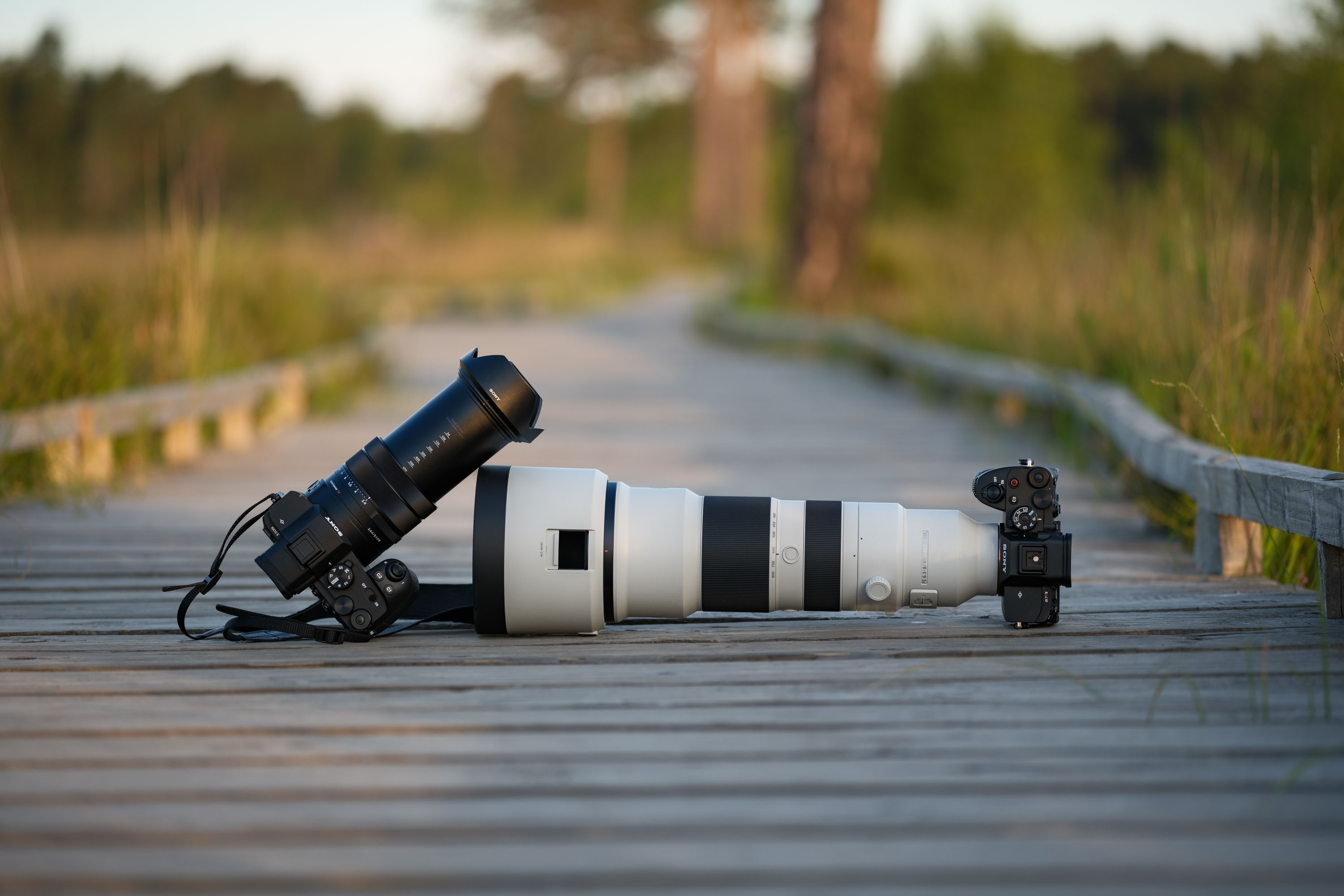 Sony RX10 V bridge camera alongside Sony 400-800mm lens attached to an A7R V on a boardwalk in a nature reserve at golden hour