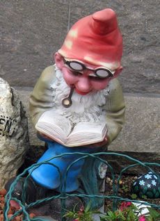 Geribold Gnome