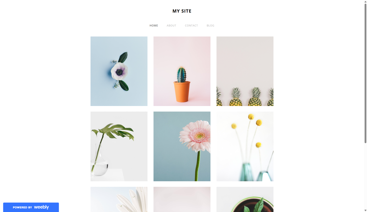 Screenshot of a sample website built on Weebly with a white background and several bright images in a grid