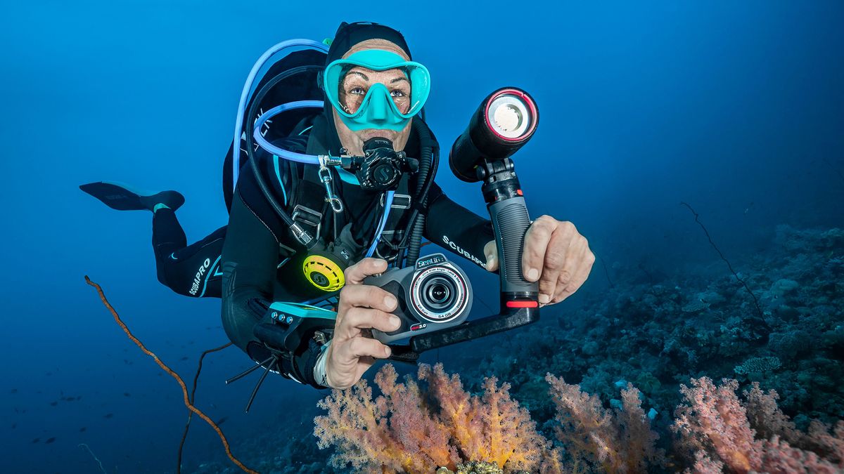 SeaLife Underwater Cameras  Best Underwater Digital Camera & Lighting