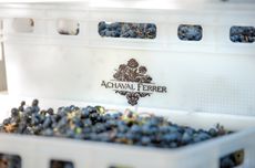 Achaval_Ferrer_harvestbox.jpg