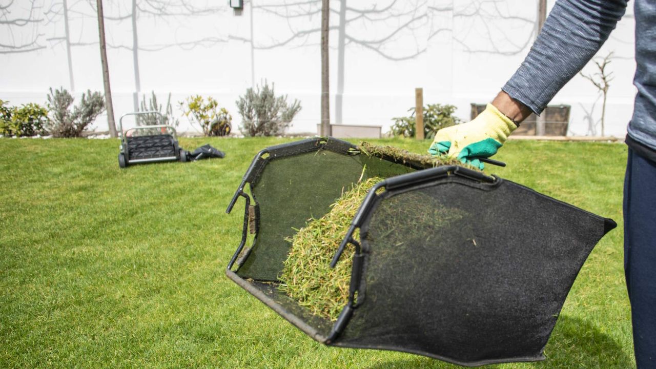 Collecting clippings from mowing the grass in a spring garden