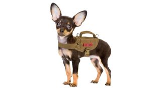 Tactical Dog Harness for XXS Puppy Dog 