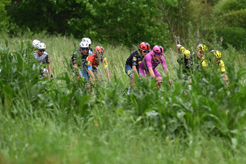 VIADANA ITALY MAY 22 LR Mathias Vacek of Czech Republic and Mads Pedersen of Denmark and Team Lidl Trek Purple Points Jersey compete during the 108th Giro dItalia 2025 Stage 12 a 172km stage from Modena to Viadana OglioPo UCIWT on May 22 2025 in Viadana Italy Photo by Dario BelingheriGetty Images
