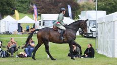 Stattler-RoR-amateur-ridden.jpg