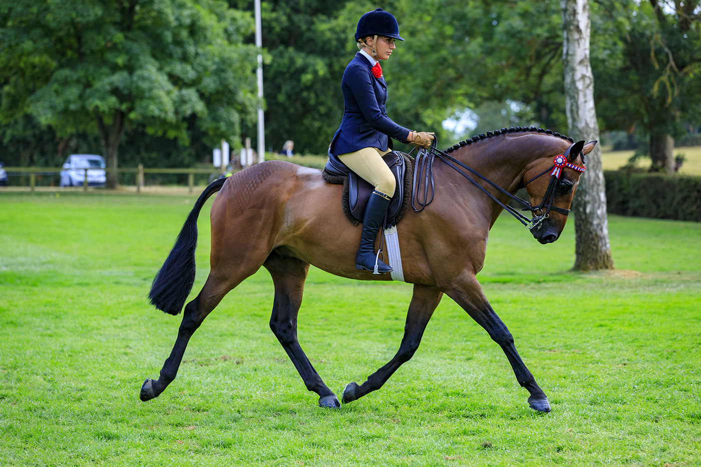 Hickstead Saturday 30th July