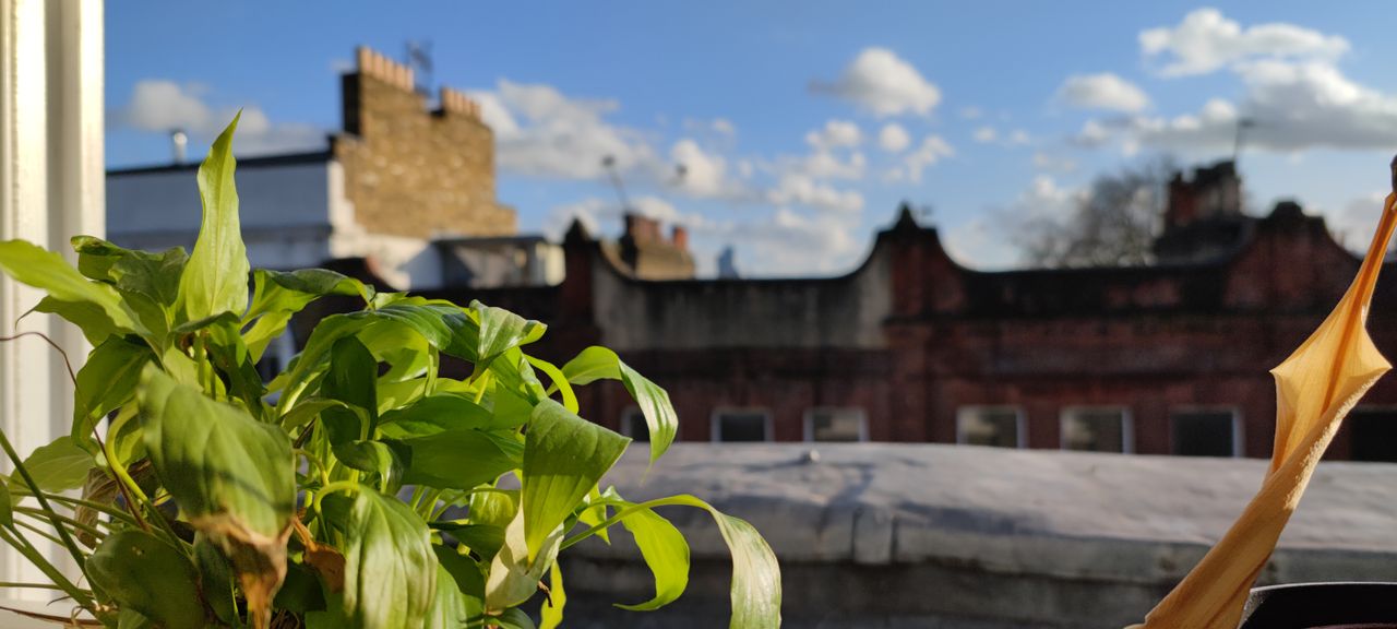 Xiaomi Mi 11 camera sample