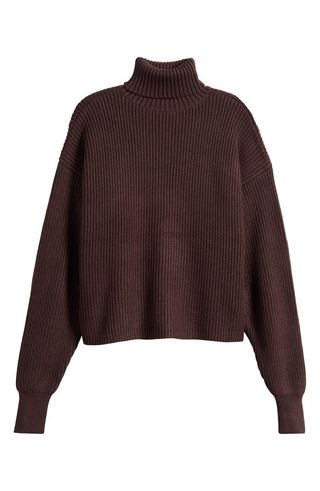 Cozy Rib Turtleneck Sweater