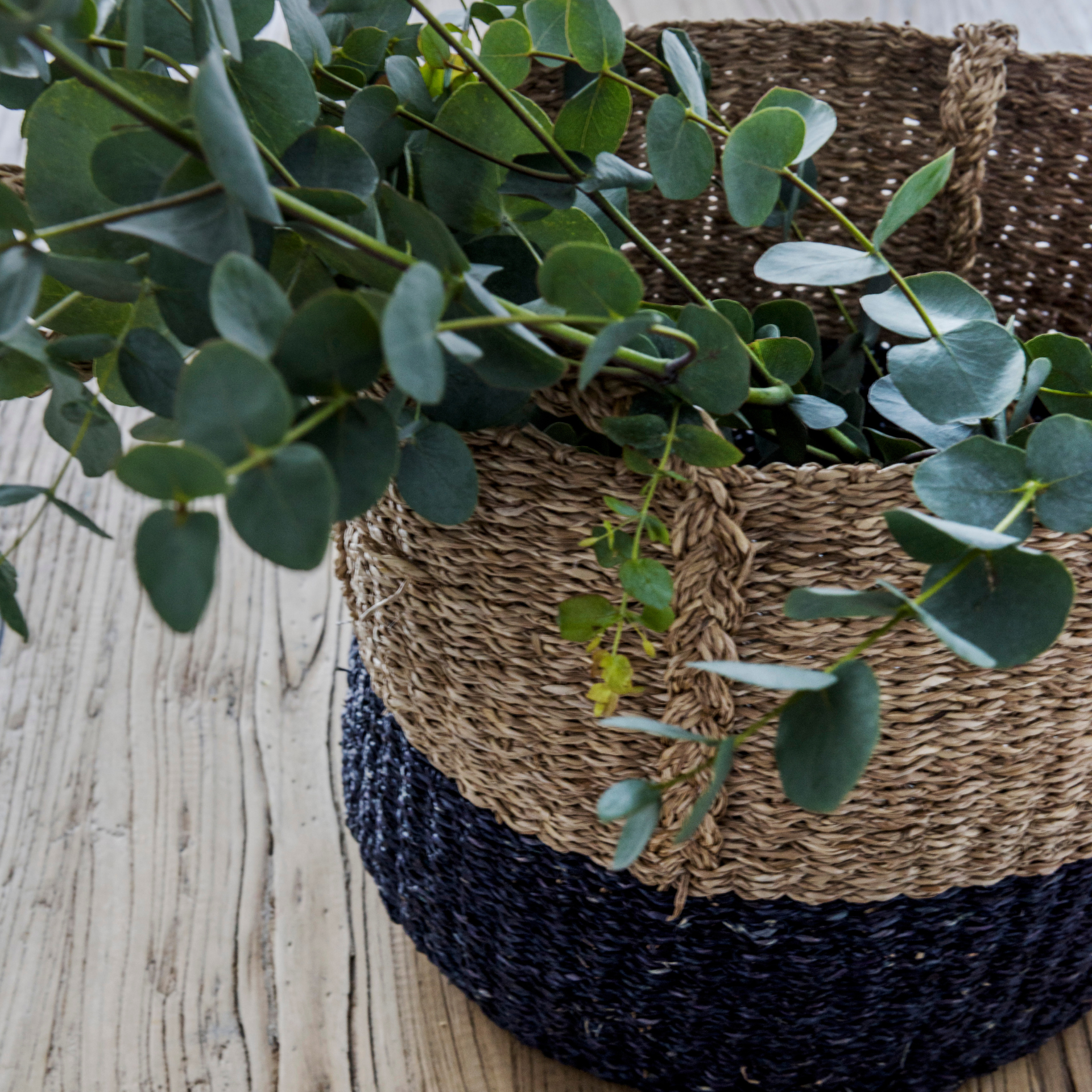 Dark blue and natural basket with eucalyptus on a wooden floor.
