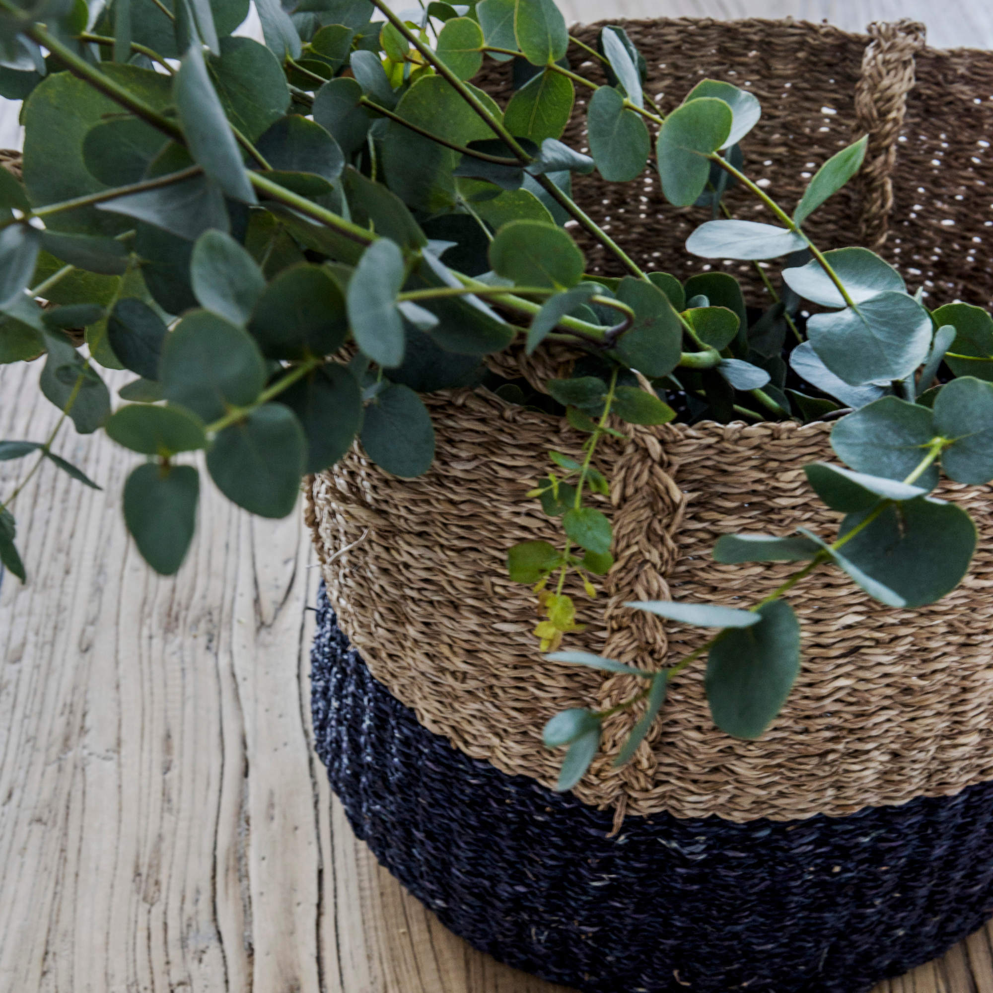 Dark blue and natural basket with eucalyptus on a wooden floor.