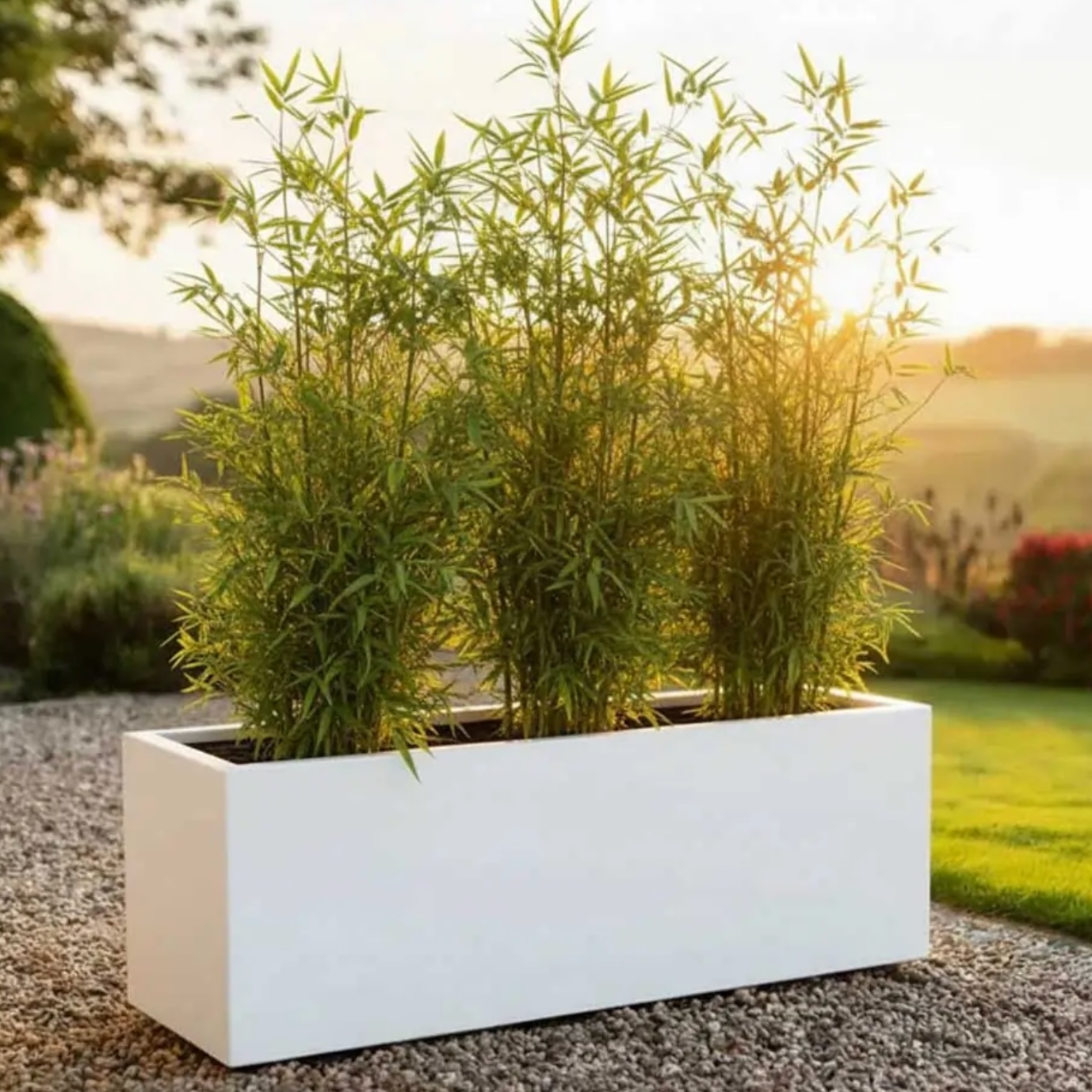 galvanized zinc trough planter