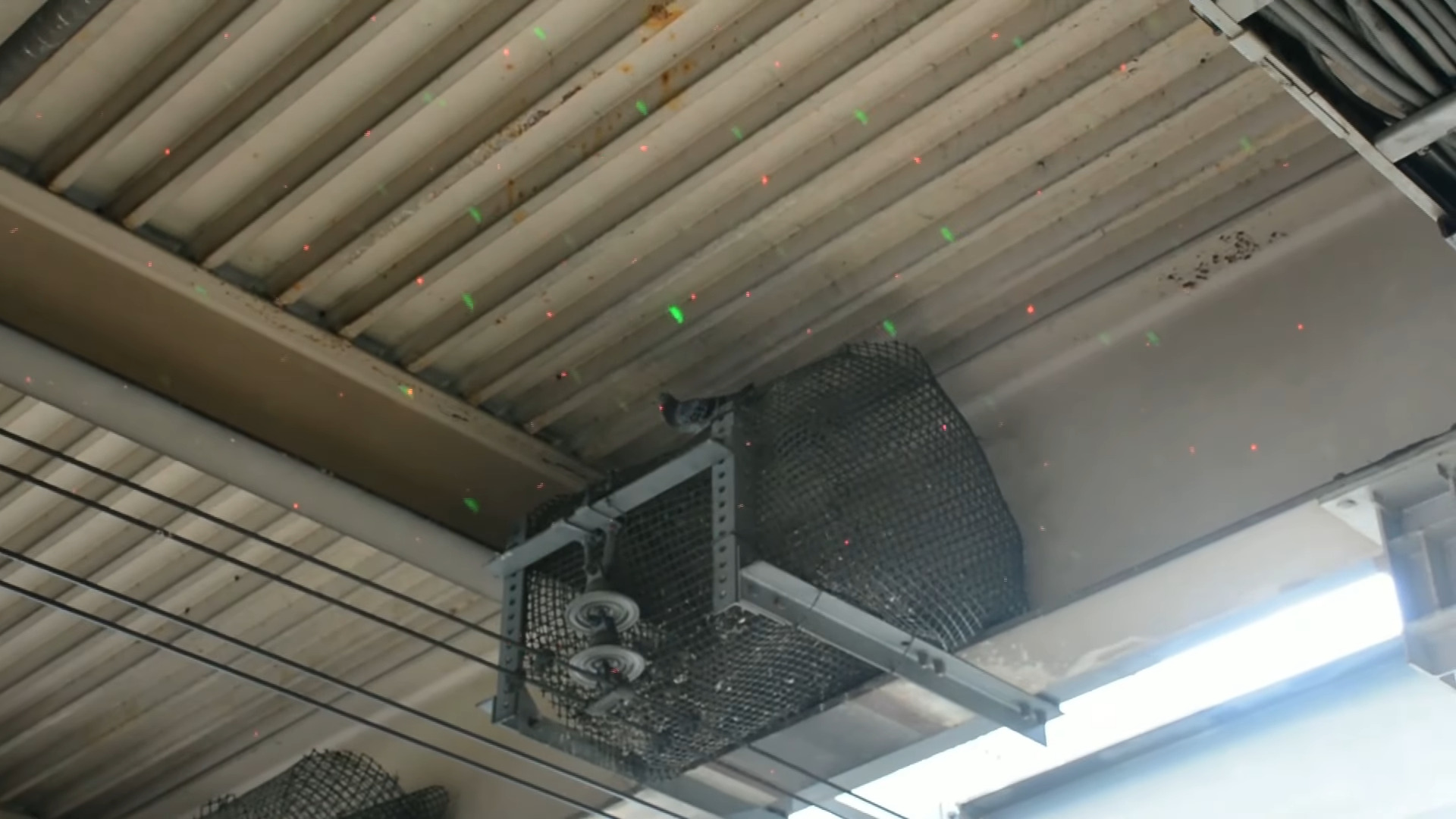 A laser system to scare away wild birds and animals