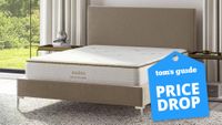 Image showsn the Saatva Memory Foam Hybrid mattress on a grey bedframe on a jute rug with a blue price drop sales image overlaid