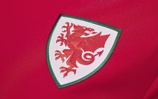 Wales Euro 2024 home kit