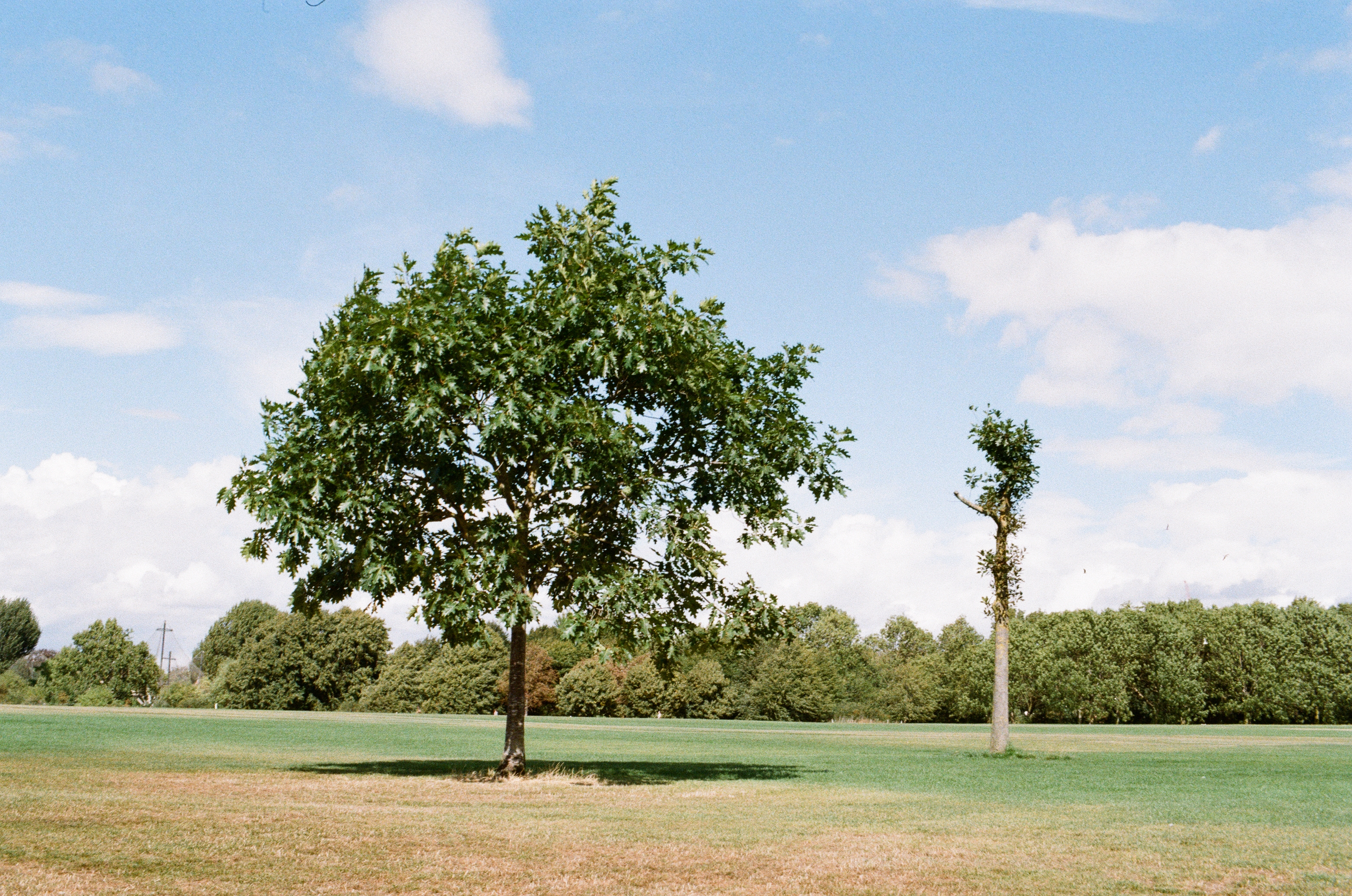 Kodak ColorPlus 200 sample image