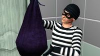 A masked burglar holds up a bag full of stolen goods