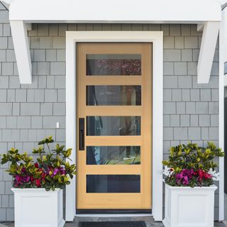 Modern wooden front door with window inserts and plants either side