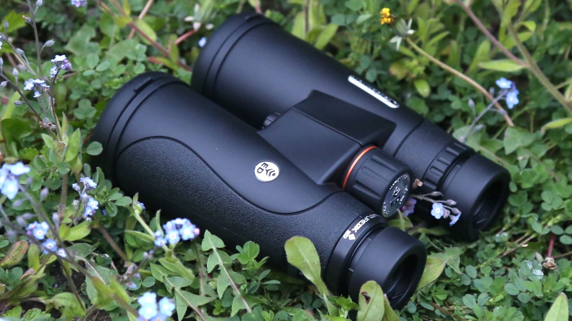 Celestron Nature DX 12X50ED Binoculars Extra-Low Dispersion ED Glass - View #2