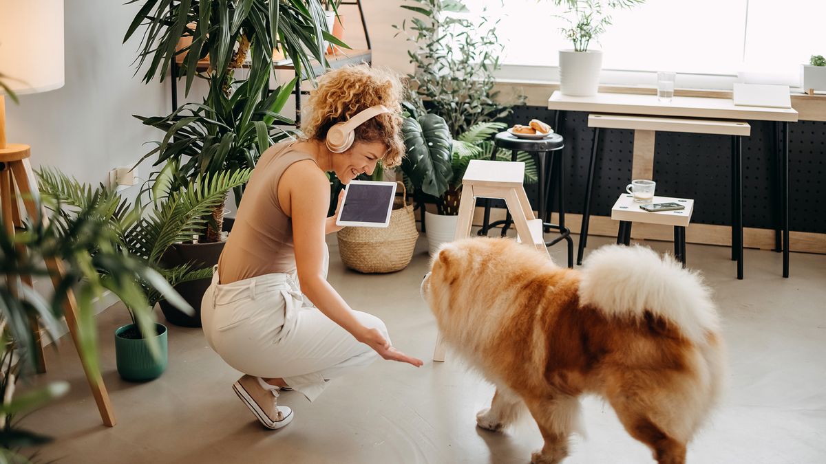 Woman handing treats to dog at her side