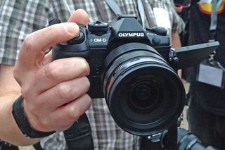 The OM-D E-M1X' 20.4MP sensor is physically small but powerful