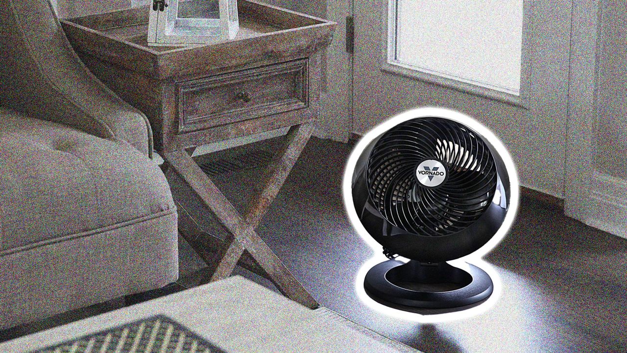 Vornado 660 air circulator in living room