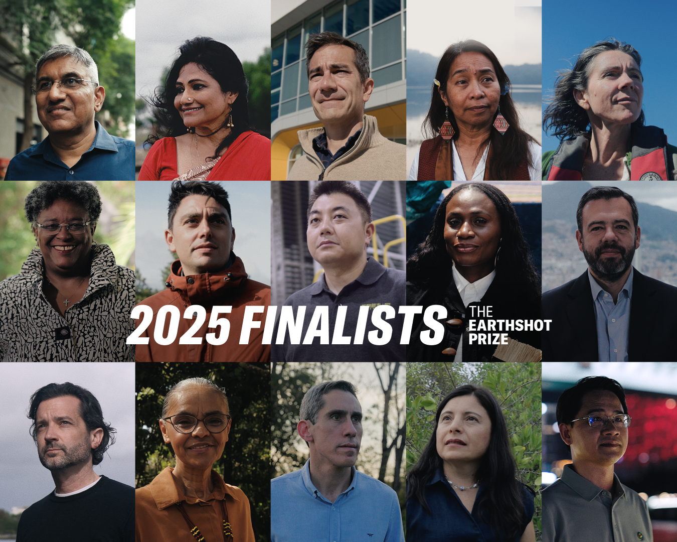 All of the finalists of this year&#039;s competition