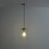 COLEMAN Clear Glass And Copper Ceiling Light
